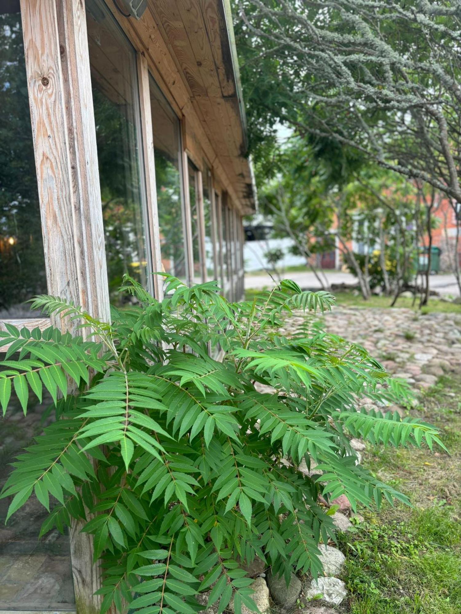 Butterfly House Apartment Pavilosta Exterior photo